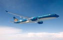 Máy bay Vietnam Airlines thủng vỏ động cơ do va chạm lồng, khách mắc kẹt tại Nga