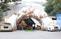 Lộ diện đại gia đứng sau đám cưới “khủng” ở Quảng Ninh