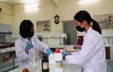 Giảng viên Trường Bách khoa điều chế nước sát khuẩn giúp sinh viên chống Corona