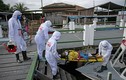 COVID-19: Brazil tăng vọt ca nhiễm và tử vong, Mỹ cắt quan hệ với WHO