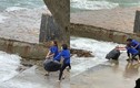 Nhân viên quán cà phê gây bức xúc khi vứt hàng chục bao rác xuống biển