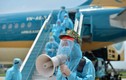 Vietnam Airlines dính "sạn" tiếp viên, dừng bay quốc tế... tài chính “thê thảm” sao?