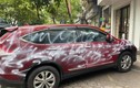 Công an TP Hải Phòng thông tin vụ xe Honda CRV bị phun sơn