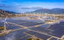 Hồ sơ Cty ACIT mua 49% cổ phần nhà máy điện mặt trời gần 5.000 tỷ