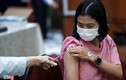 Thủ tướng chỉ đạo bổ sung vaccine cho TP.HCM, Bắc Giang và Bắc Ninh