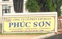 Tập đoàn Phúc Sơn: Doanh thu “nhỏ giọt”, dư nợ “khủng“