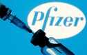 Hơn 97.000 liều vaccine Pfizer đầu tiên đã về Việt Nam: Cần lưu ý gì?