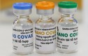 Thiếu dữ liệu, vắc xin Nanocovax chưa được thông qua cấp phép khẩn cấp