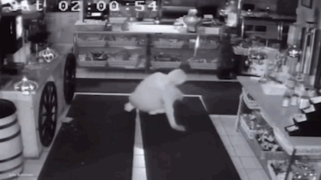 Video: Trộm đột nhập vào cửa hàng ăn 10 quả chuối rồi... ngủ 