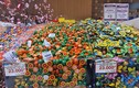 Hà Nội: Hàng Tết ngập siêu thị... khách mua "èo uột"