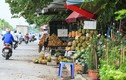 “Chợ cóc” bùng phát trên Đại lộ Thăng Long, hiểm họa khôn lường
