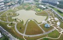 “Soi” tiến độ công trình công viên lớn nhất quận Nam Từ Liêm