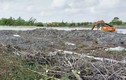 Huế: Hiện trường 0,72ha rừng ngập mặn bị san ủi làm bờ kè 