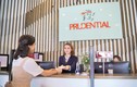 Prudential, MB Ageas, BIDV Metlife, Sunlife lỗ lãi thế nào trước khi bị thanh tra?