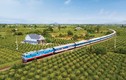Đường sắt tìm “nguồn sống” từ du lịch