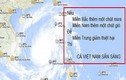 Cộng đồng liên tục cập nhật tình hình về siêu bão Haiyan