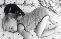Bé ngủ cùng cún con gây sốt trên Instagram