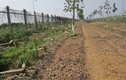 Hà Nội dẹp vườn rau canh tác trên “đại lộ nghìn tỷ”