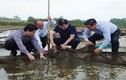 Phó Thủ tướng thị sát vùng cá chết hàng loạt