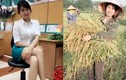 Phải lòng cô hot girl gặt lúa “tuyển chồng” gây bão like