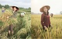 Hot girl gặt lúa “tuyển chồng” hóa thôn nữ đẹp hớp hồn