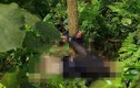Hà Giang: Bắt nghi can sát hại phụ nữ, trói vào gốc cây