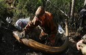 Theo chân những kẻ đào trộm ngà voi ma mút ở Nga