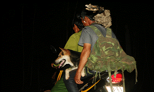 Xuyên đêm đi săn thú rừng trái phép ở Hoành Sơn