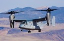 Mỹ điều thêm 12 “quái vật” MV-22 Osprey đến Nhật 