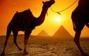 Di sản văn hóa Ai Cập đang bị lâm nguy