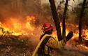 Lính cứu hỏa Mỹ thua “giặc lửa” ở Yosemite 