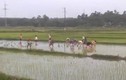Đẹp từng cen-ti-met: 30 nữ công nhân lội ruộng cấy lúa giúp cụ U70