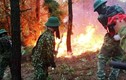 Cháy rừng thông trên núi Hồng Lĩnh: Bắt nghi can làm cháy rừng