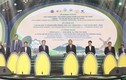 Tây Ninh: Tập trung đầu tư 7 dự án nông nghiệp công nghệ cao