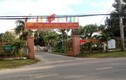 TP HCM: 1 tháng, Công ty Quỳnh Lộc trúng 4 gói thầu tại Củ Chi