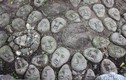 Cận cảnh “nghĩa địa đầu người” ở Tây Ninh