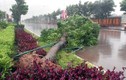 Siêu bão Haiyan tấn công miền Trung, đe dọa miền Bắc