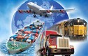 Ngành logistics đào tạo những gì, cơ hội việc làm ra sao?