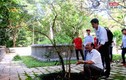Khám phá 3 cây lạ thần kỳ ở khu di tích Lam Kinh