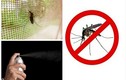 Cửa lưới có phải cách phòng muỗi hiệu quả?