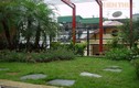 Nhà vườn Hà Nội xanh mướt hút mắt giữa hè nóng