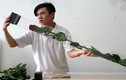 Sốt hoa hồng dài 1,6 m giá 700.000 đồng/bông