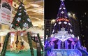 Ấn tượng loạt cây thông Noel “khủng” lộng lẫy ở Hà Nội