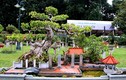 Ngắm vườn cảnh nghệ thuật bạc tỉ ở Hoàng Thành Thăng Long