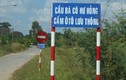 Cười ngất với 11 cây cầu có tên siêu độc ở Việt Nam
