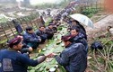 Tròn mắt với những con đường rượu thịt độc lạ ở Việt Nam