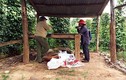 Đắk Lắk: Hai vợ chồng nghi bị đầu độc bằng thuốc diệt cỏ