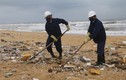 Bất thường rác thải, dầu vón cục dạt bờ biển Quảng Nam