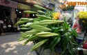 Ảnh: Hoa loa kèn tinh khôi xuống phố Hà Nội