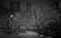 Hình ảnh Central Park âm u không bóng người vào ban đêm